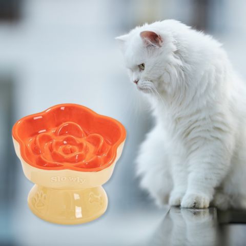gamelle anti glouton chat surélevée céramique jaune orange