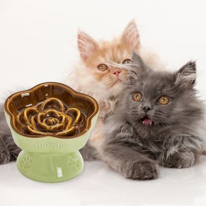 gamelle anti glouton chat surélevée céramique
