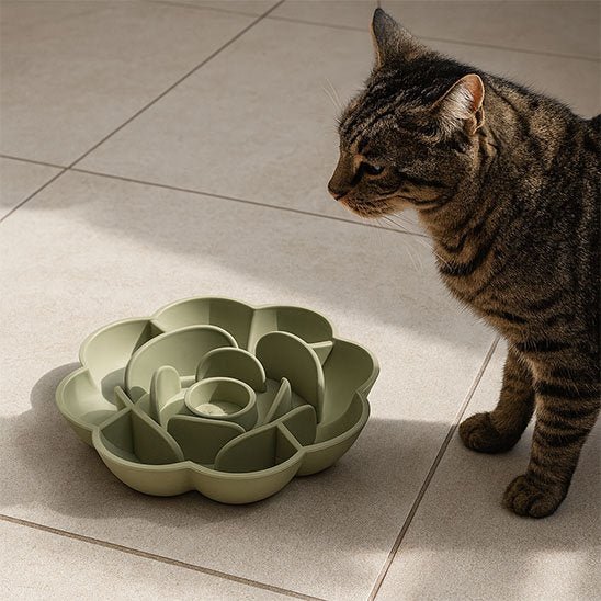 gamelle anti glouton Chat design labyrinthe silicone