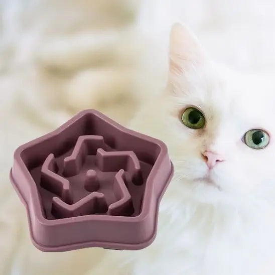 gamelle anti glouton chat alimentation lente plastique violet