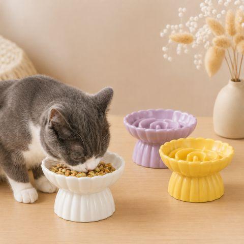 Chat mangeant dans une gamelle anti-glouton en céramique JardinZen