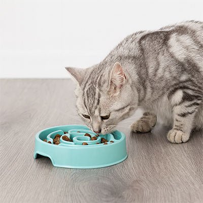 Gamelle anti glouton chat labyrinthe pour chat ludique