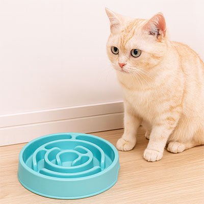 Gamelle anti glouton chat labyrinthe pour chat ludique