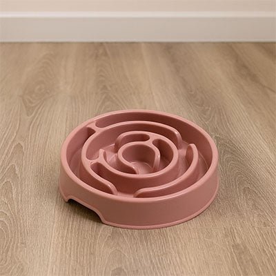 Gamelle anti glouton chat labyrinthe pour chat ludique