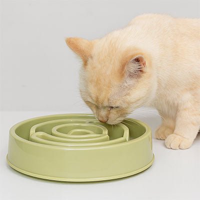 Gamelle anti glouton chat labyrinthe pour chat ludique