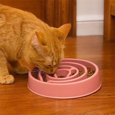 Gamelle anti glouton chat labyrinthe pour chat ludique