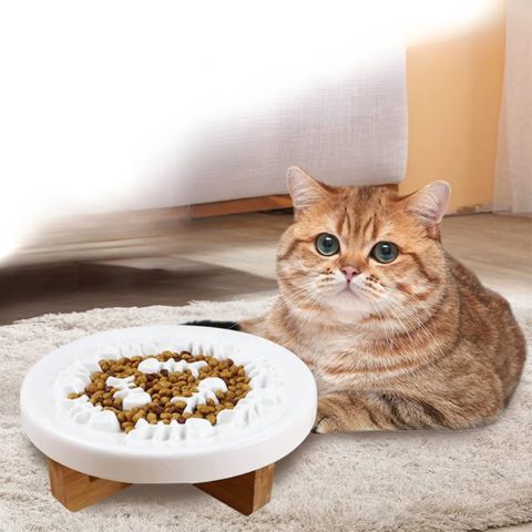 gamelle anti glouton chat céramique et bois surélevée blanche