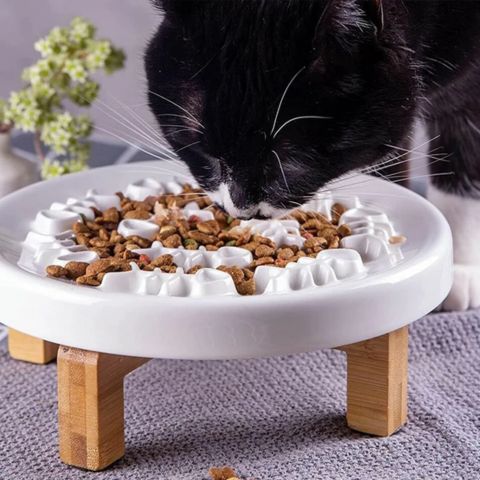 gamelle anti glouton chat céramique et bois surélevée