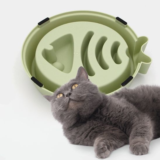 gamelle anti glouton chat antidérapante plastique vert