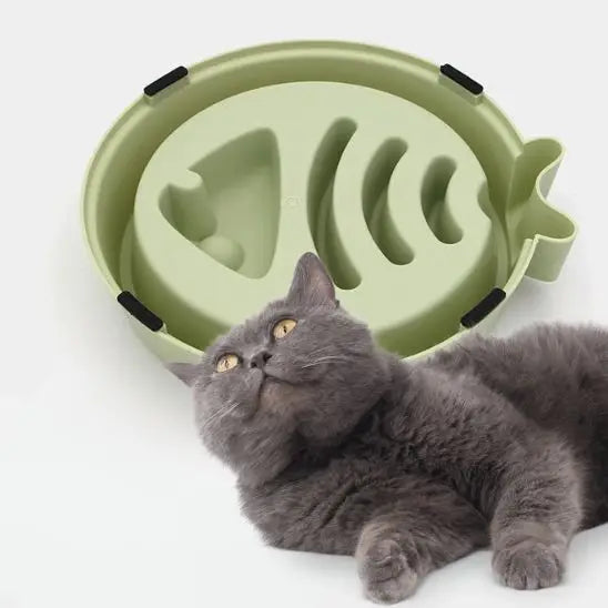 gamelle anti glouton chat antidérapante plastique vert
