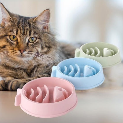 gamelle anti glouton chat poisson