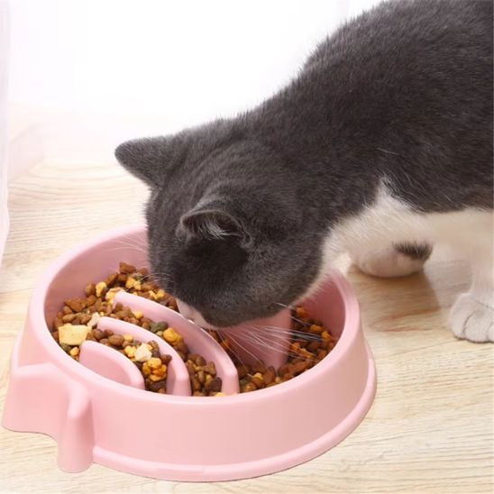 gamelle anti glouton chat forme poisson plastique rose
