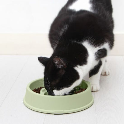 gamelle anti glouton chat forme poisson plastique vert