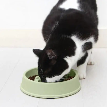 gamelle anti glouton chat forme poisson plastique vert