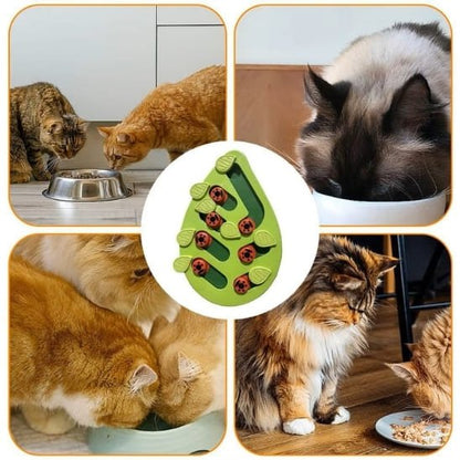 gamelle anti glouton chat puzzle alimentaire jeu stimulant