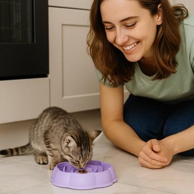 gamelle anti glouton chat rose gourmande plastique violet