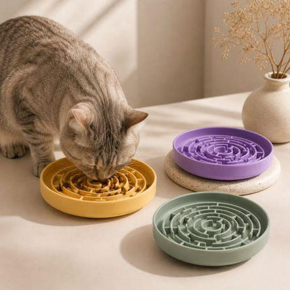 Chat utilisant une gamelle anti-glouton jaune