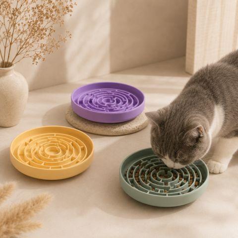 Chat mangeant dans une gamelle anti-glouton verte