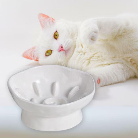 gamelle anti-glouton chat céramique surélevée inclinée blanc