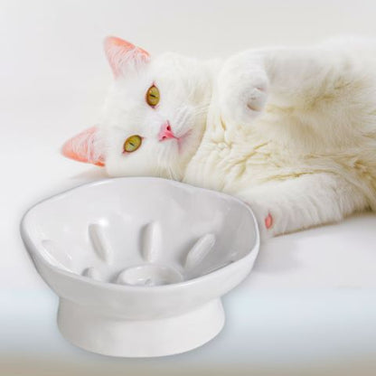 gamelle anti-glouton chat céramique surélevée inclinée blanc