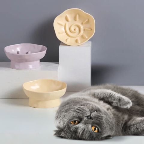 gamelle anti-glouton chat céramique surélevée inclinée