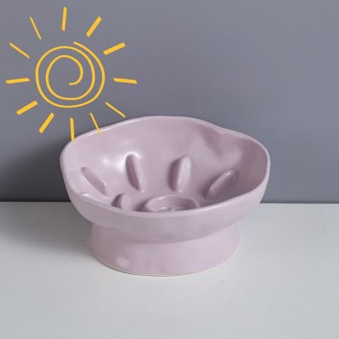 gamelle anti-glouton chat céramique surélevée inclinée violet