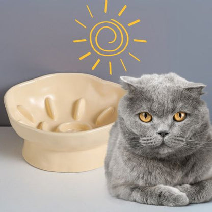 gamelle anti-glouton chat céramique surélevée inclinée jaune
