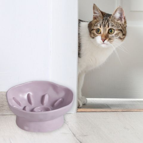 gamelle anti-glouton chat céramique surélevée inclinée violet