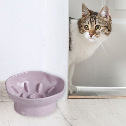 gamelle anti-glouton chat céramique surélevée inclinée violet