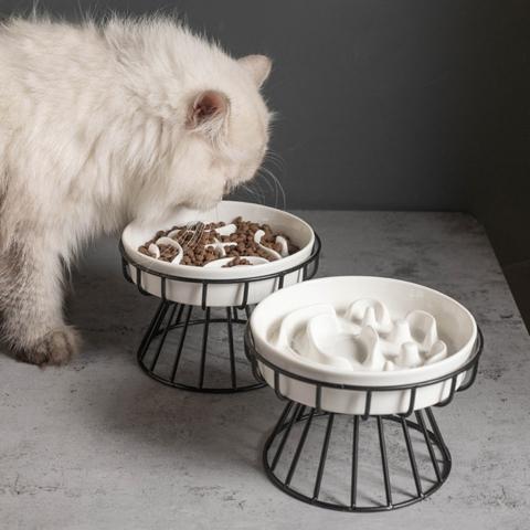 Gamelle anti-glouton chat céramique blanche support surélevée