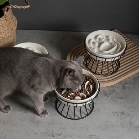 Gamelle anti-glouton chat céramique blanche support surélevée