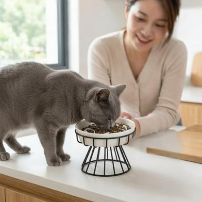Gamelle anti-glouton chat céramique blanche support surélevée