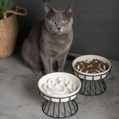 aGamelle anti-glouton chat céramique blanche support surélevée
