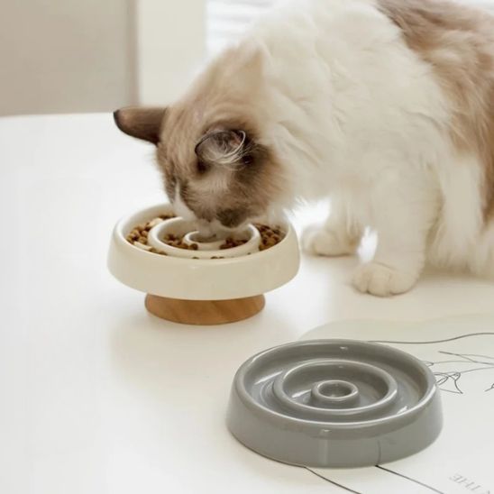 gamelle anti glouton chat surélevée bois céramique alimentation lente