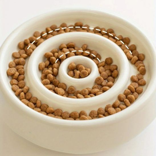 Gamelle Anti-glouton Céramique Surélevée 14×8,5 Cm, Blanche