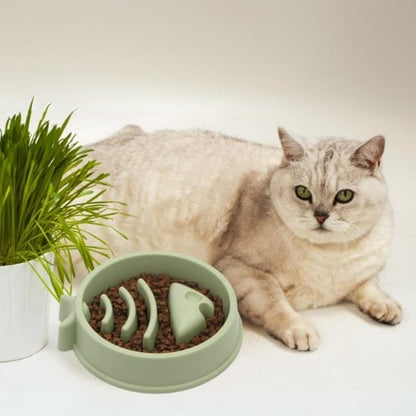 gamelle anti glouton chat poisson plastique vert surpoids