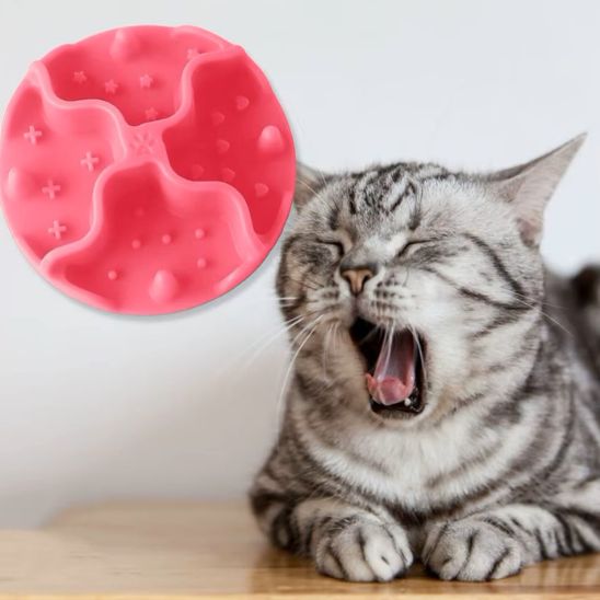 gamelle anti glouton chat ventouse pour toutes les gamelles
