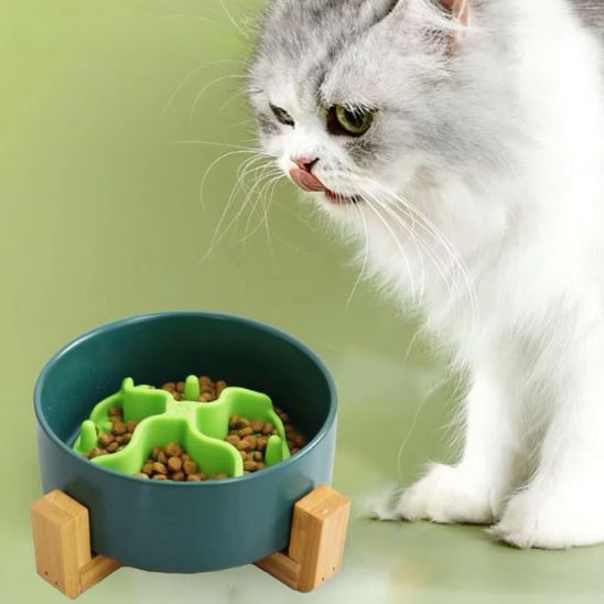 gamelle anti glouton chat ventouse pour toutes les gamelles