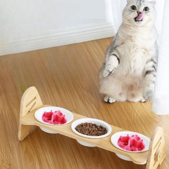 gamelle anti glouton chat ventouse pour toutes les gamelles