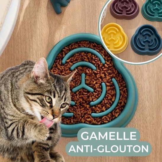 gamelle anti glouton chat vert