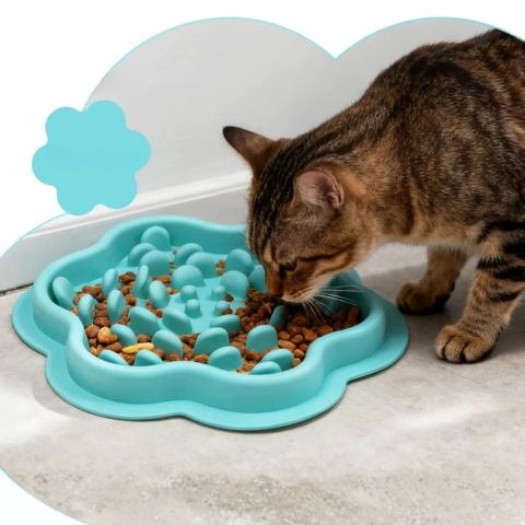 gamelle anti glouton chaton labyrinthe silicone