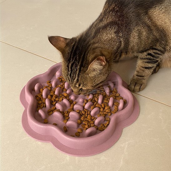 gamelle anti glouton chaton labyrinthe rose