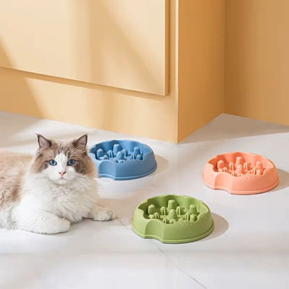 Gamelles anti-glouton pour chat rose, verte et bleue dans un espace repas