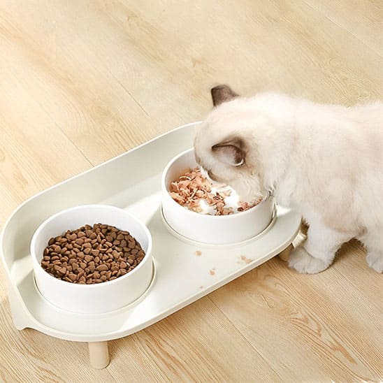 Gamelles Surélevées Pour Chat Double