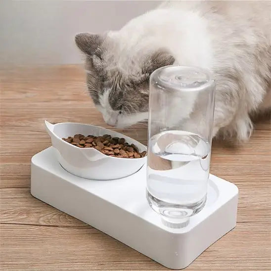 gamelle chat surélevée inclinée design blanc épuré