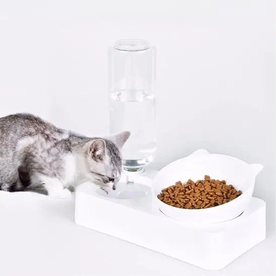 gamelle chat bol et distributeur eau voyage