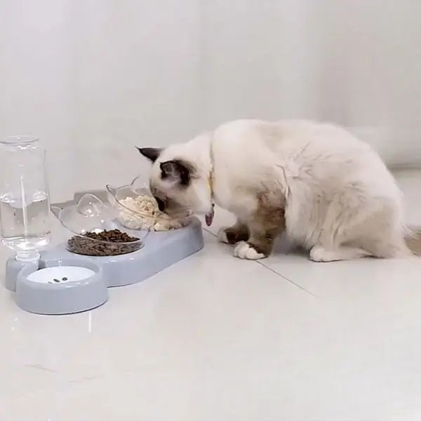 gamelle chat surélevée ergonomique gris double bol distributeur eau