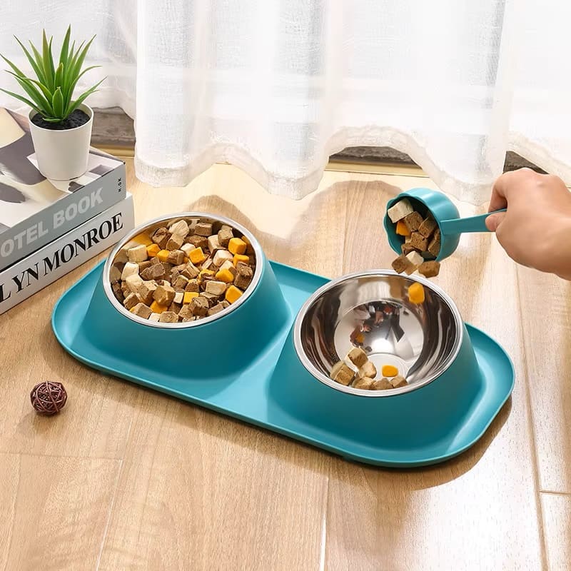 gamelle chat inclinée inox turquoise