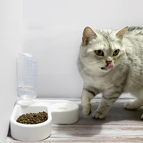gamelle chat bol nourriture fonctionnement gravité eau