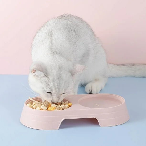 gamelle chat plastique rose complet
